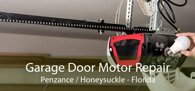 Garage Door Motor Repair Penzance / Honeysuckle - Florida