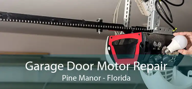 Garage Door Motor Repair Pine Manor - Florida