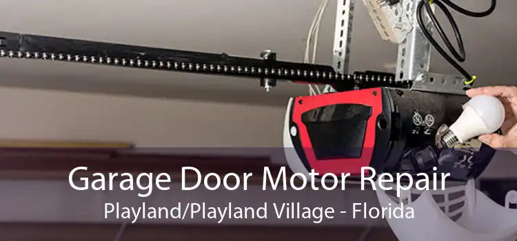 Garage Door Motor Repair Playland/Playland Village - Florida