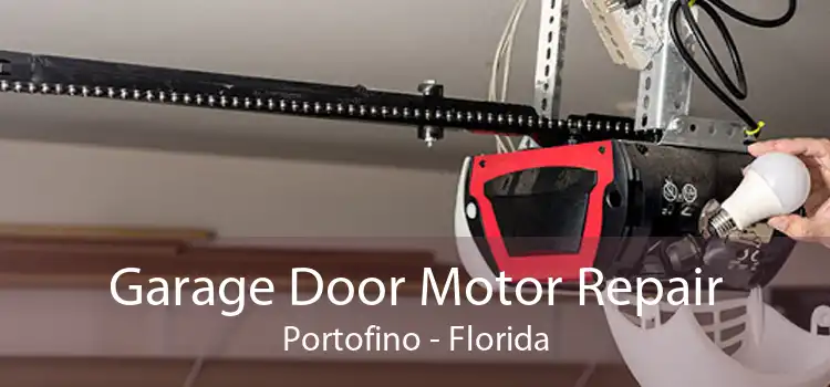 Garage Door Motor Repair Portofino - Florida