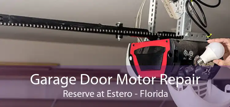 Garage Door Motor Repair Reserve at Estero - Florida