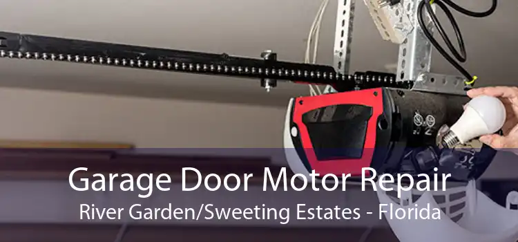 Garage Door Motor Repair River Garden/Sweeting Estates - Florida