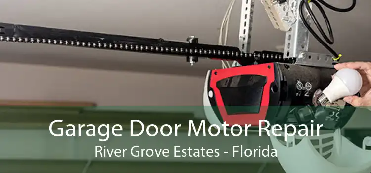 Garage Door Motor Repair River Grove Estates - Florida