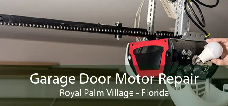 Garage Door Motor Repair Royal Palm Village - Florida