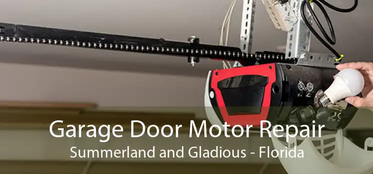 Garage Door Motor Repair Summerland and Gladious - Florida