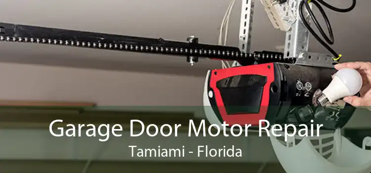 Garage Door Motor Repair Tamiami - Florida