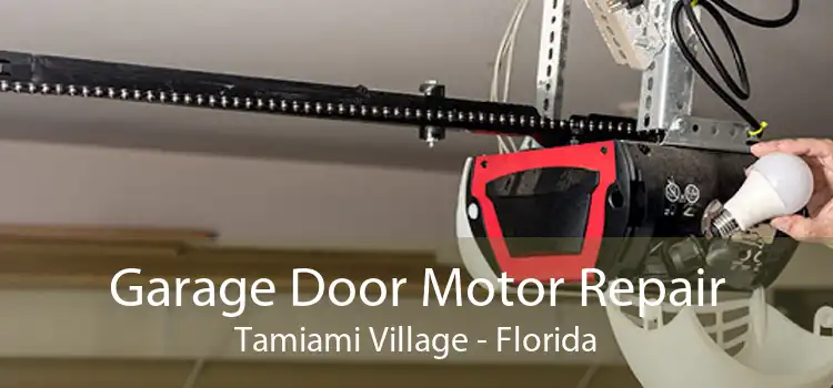 Garage Door Motor Repair Tamiami Village - Florida