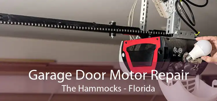 Garage Door Motor Repair The Hammocks - Florida