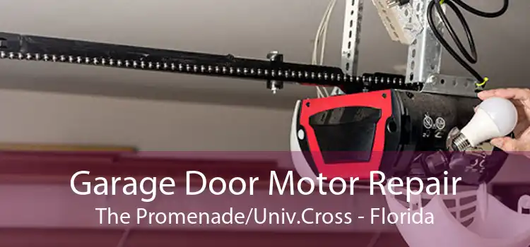 Garage Door Motor Repair The Promenade/Univ.Cross - Florida