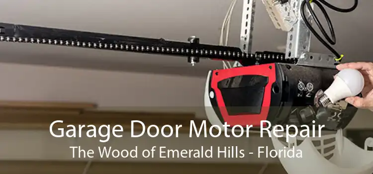 Garage Door Motor Repair The Wood of Emerald Hills - Florida