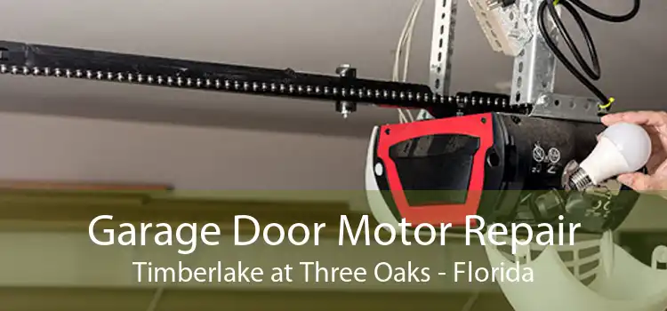 Garage Door Motor Repair Timberlake at Three Oaks - Florida