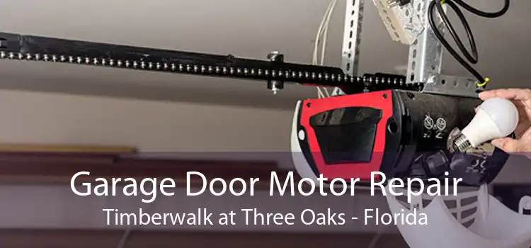 Garage Door Motor Repair Timberwalk at Three Oaks - Florida