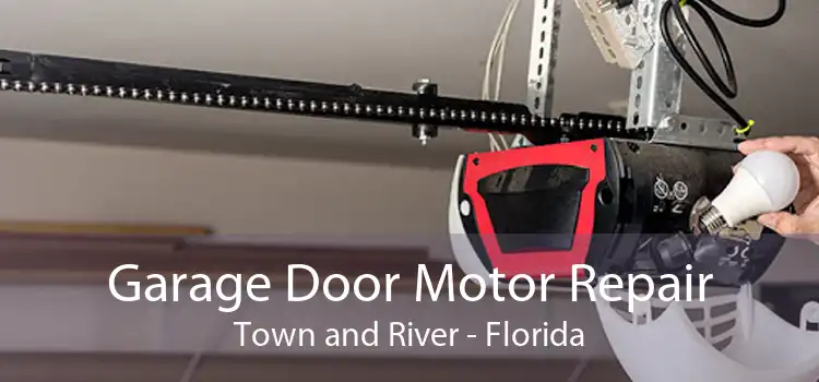 Garage Door Motor Repair Town and River - Florida