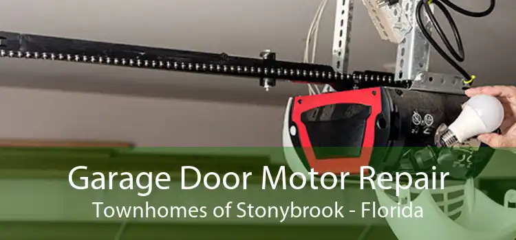 Garage Door Motor Repair Townhomes of Stonybrook - Florida