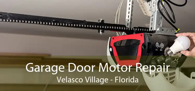 Garage Door Motor Repair Velasco Village - Florida