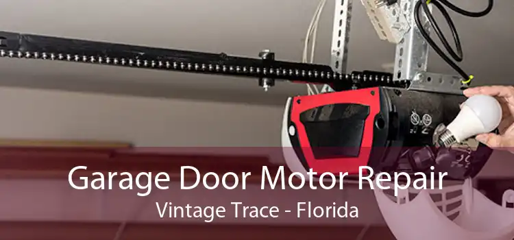 Garage Door Motor Repair Vintage Trace - Florida