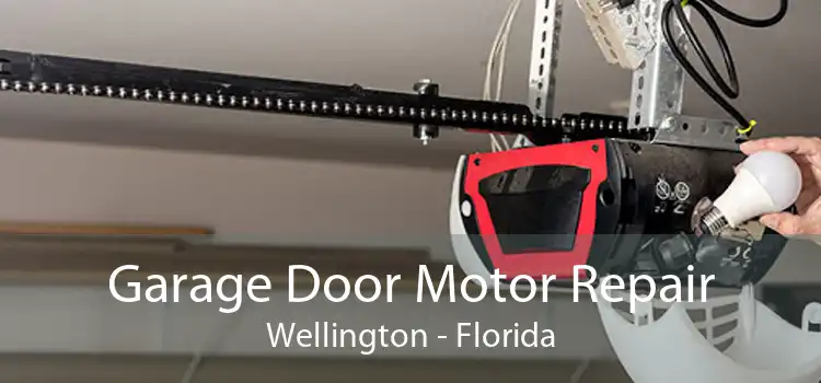 Garage Door Motor Repair Wellington - Florida