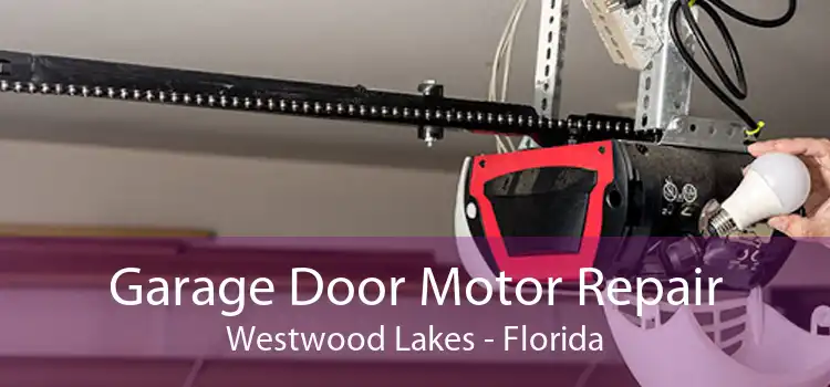 Garage Door Motor Repair Westwood Lakes - Florida