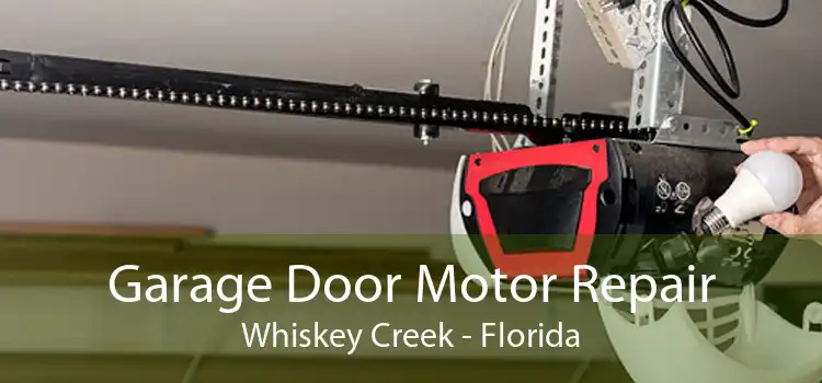 Garage Door Motor Repair Whiskey Creek - Florida