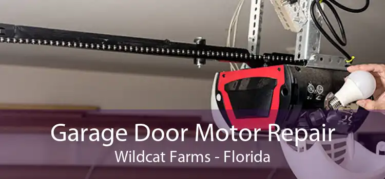 Garage Door Motor Repair Wildcat Farms - Florida