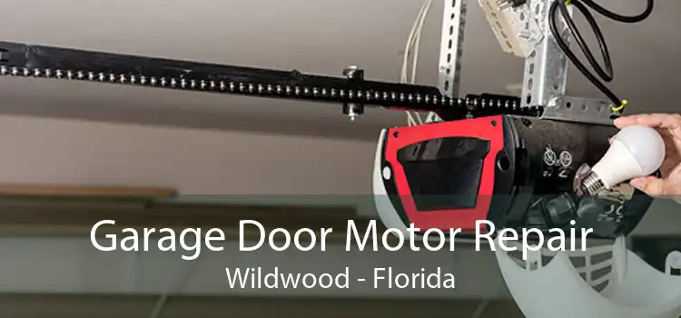 Garage Door Motor Repair Wildwood - Florida