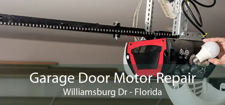 Garage Door Motor Repair Williamsburg Dr - Florida