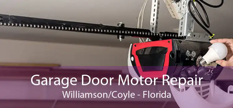 Garage Door Motor Repair Williamson/Coyle - Florida