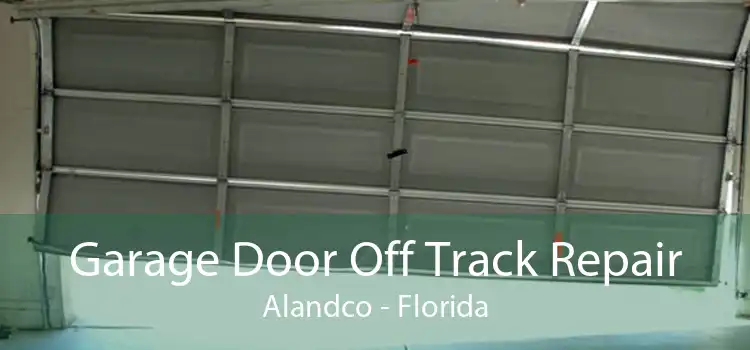 Garage Door Off Track Repair Alandco - Florida