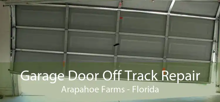 Garage Door Off Track Repair Arapahoe Farms - Florida