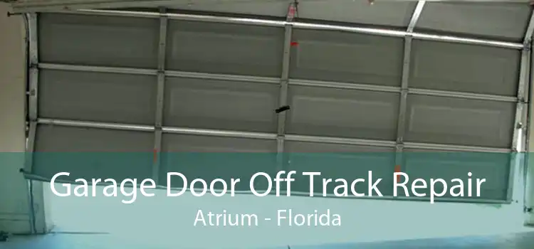 Garage Door Off Track Repair Atrium - Florida