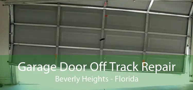 Garage Door Off Track Repair Beverly Heights - Florida