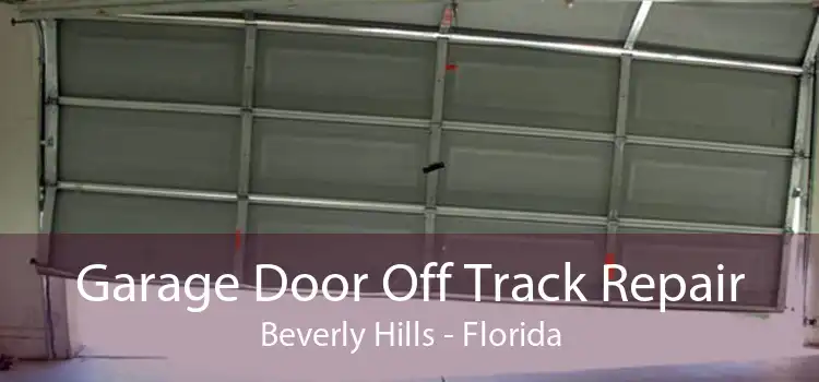 Garage Door Off Track Repair Beverly Hills - Florida