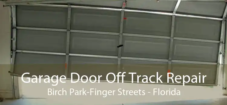 Garage Door Off Track Repair Birch Park-Finger Streets - Florida