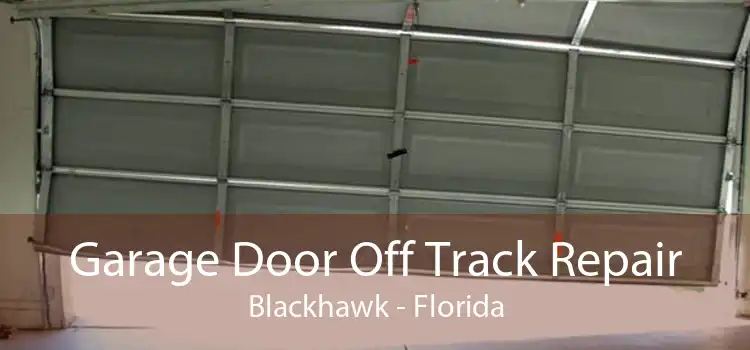 Garage Door Off Track Repair Blackhawk - Florida