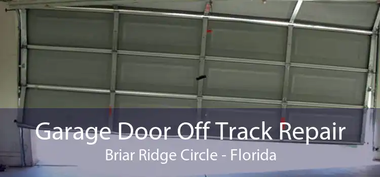 Garage Door Off Track Repair Briar Ridge Circle - Florida