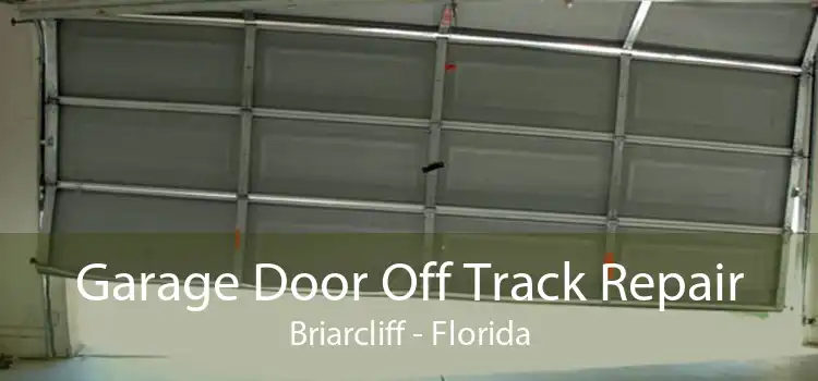 Garage Door Off Track Repair Briarcliff - Florida