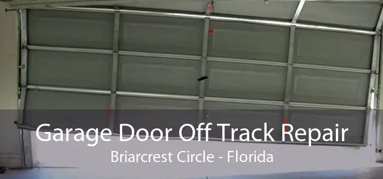 Garage Door Off Track Repair Briarcrest Circle - Florida