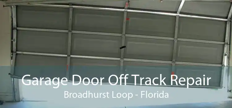 Garage Door Off Track Repair Broadhurst Loop - Florida