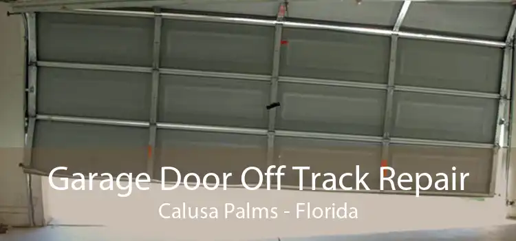 Garage Door Off Track Repair Calusa Palms - Florida