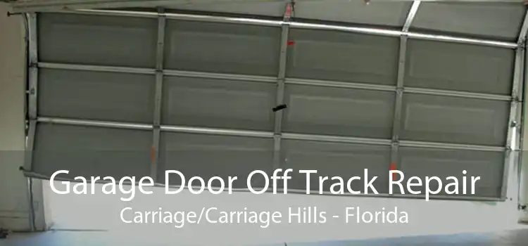 Garage Door Off Track Repair Carriage/Carriage Hills - Florida