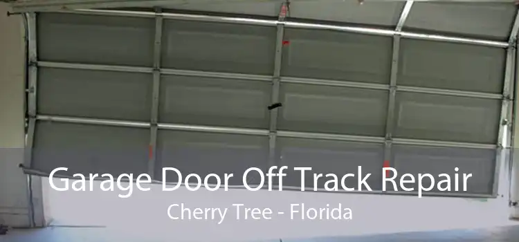 Garage Door Off Track Repair Cherry Tree - Florida