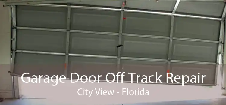 Garage Door Off Track Repair City View - Florida