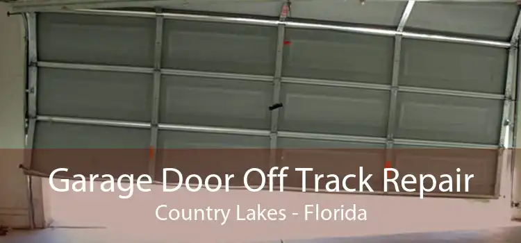 Garage Door Off Track Repair Country Lakes - Florida