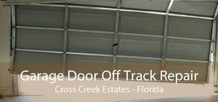 Garage Door Off Track Repair Cross Creek Estates - Florida