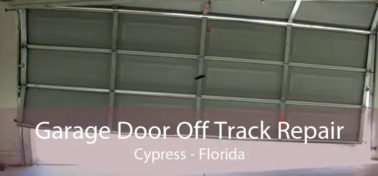 Garage Door Off Track Repair Cypress - Florida