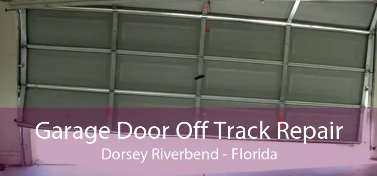 Garage Door Off Track Repair Dorsey Riverbend - Florida