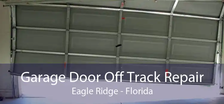 Garage Door Off Track Repair Eagle Ridge - Florida