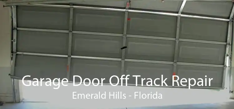 Garage Door Off Track Repair Emerald Hills - Florida