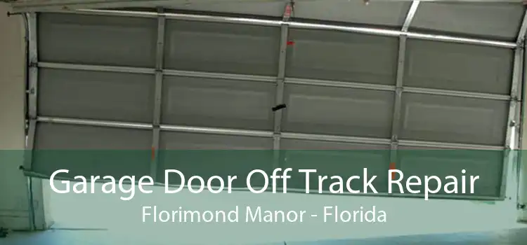 Garage Door Off Track Repair Florimond Manor - Florida