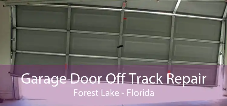 Garage Door Off Track Repair Forest Lake - Florida